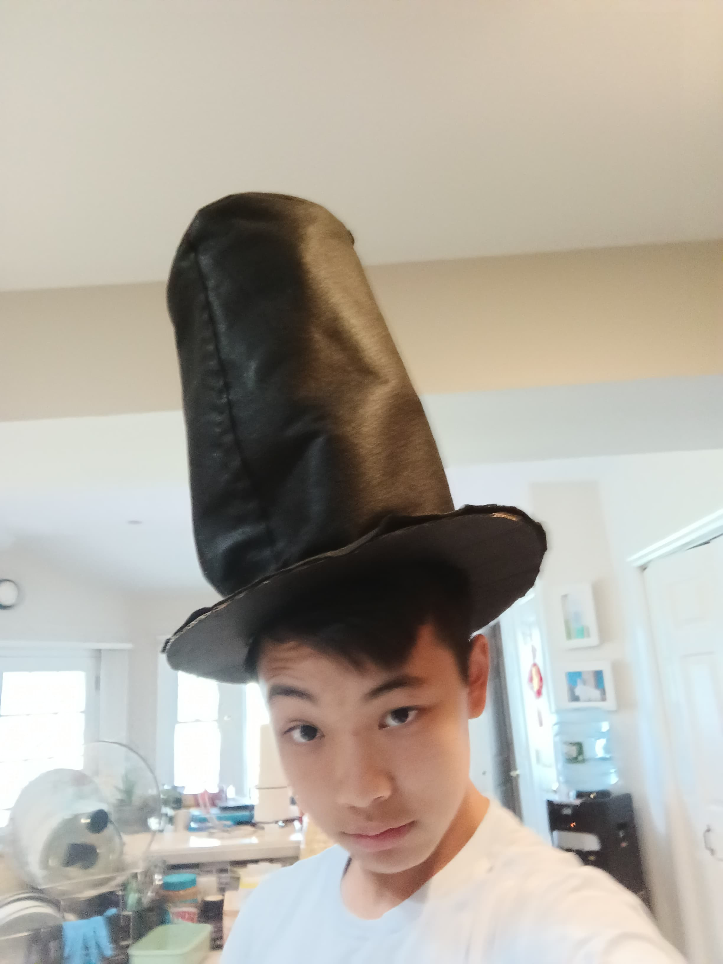 Kyle Lim
